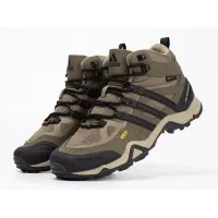 Кроссовки Adidas Terrex Winter Mid Gore-Tex Beige
