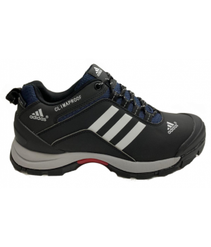 Кроссовки Adidas Terrex Climaproof серо-синие