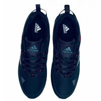 Кроссовки Adidas Terrex ClimaCool Daroga