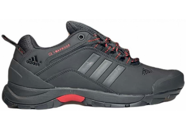 Кроссовки Adidas Terrex Climaproof серые