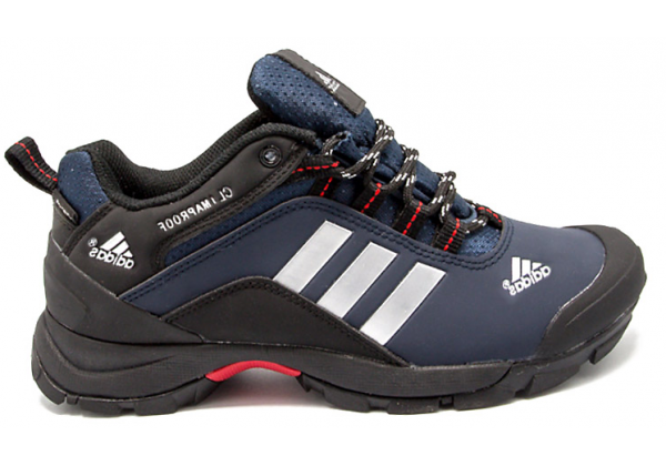 Кроссовки Adidas Terrex Climaproof Black/Blue