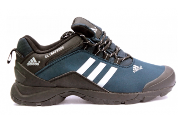Кроссовки Adidas Terrex Climaproof Winter темно-синие
