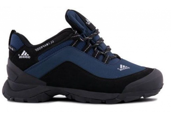 Кроссовки Adidas Terrex Climaproof Winter синие с черным