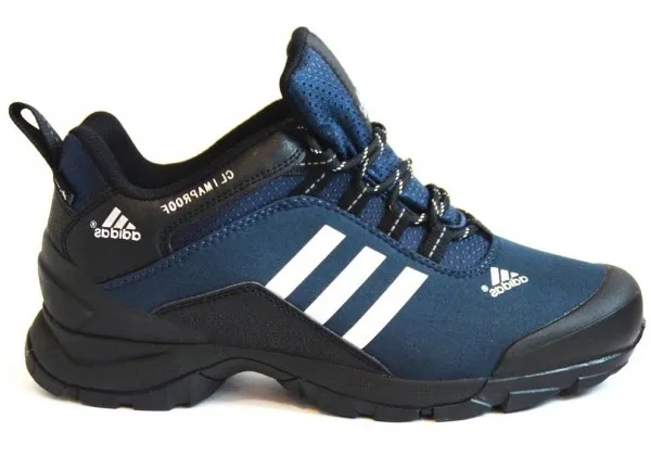 Кроссовки Adidas Terrex Climaproof Blue/White