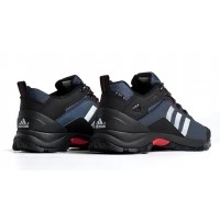 Adidas Terrex Climaproof BWR Short Navy с мехом