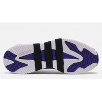 Кроссовки Adidas Niteball White Purple